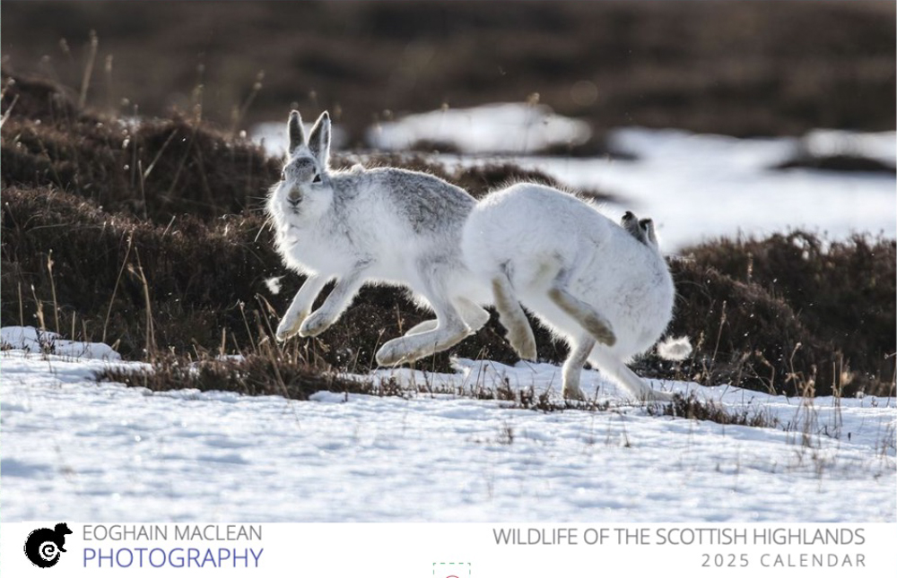 2025-calendar-eoghain-maclean-photography