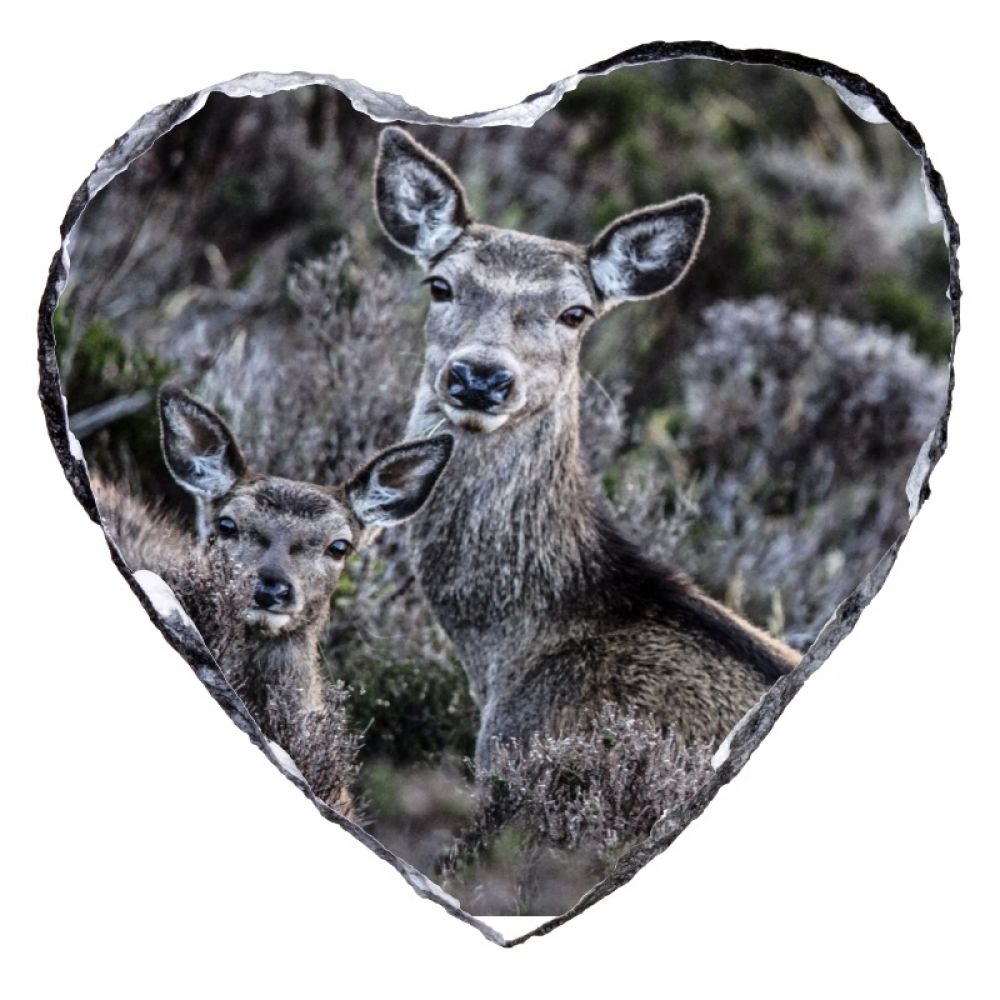 Hind and C 15 x 15 heart.jpg