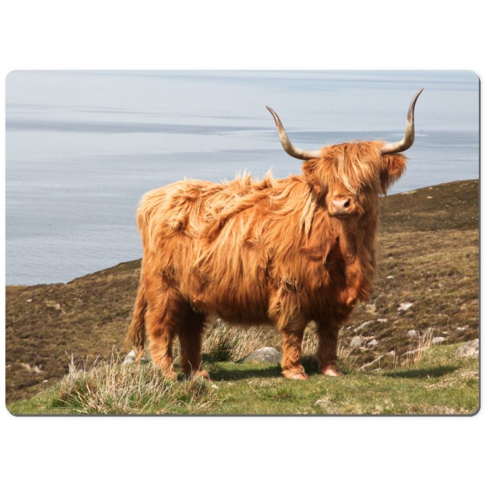 Highland cow 1 chopping board.jpg