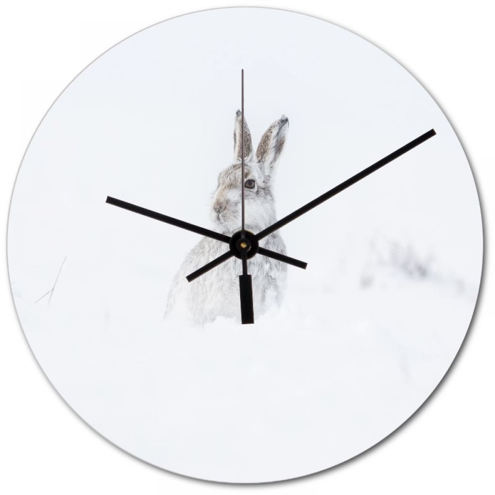 MH 2 20cm glass clock.jpg
