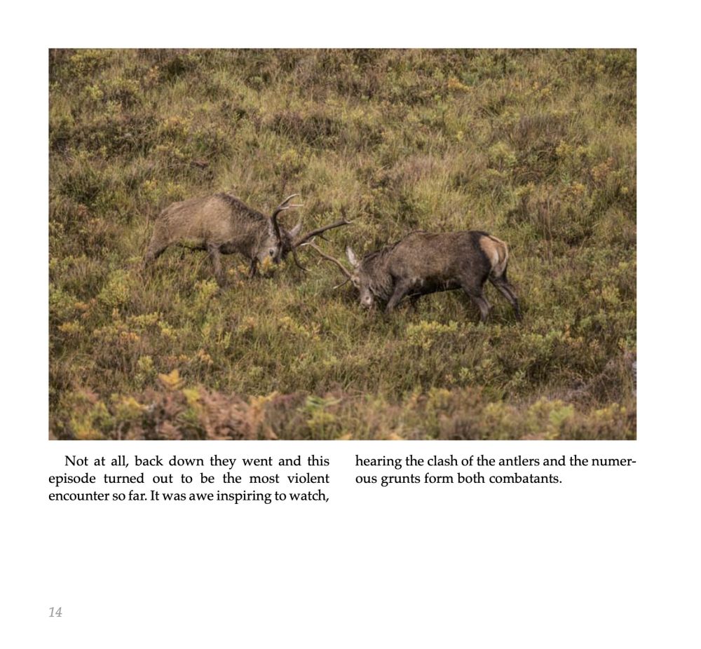 Ch2.jpg