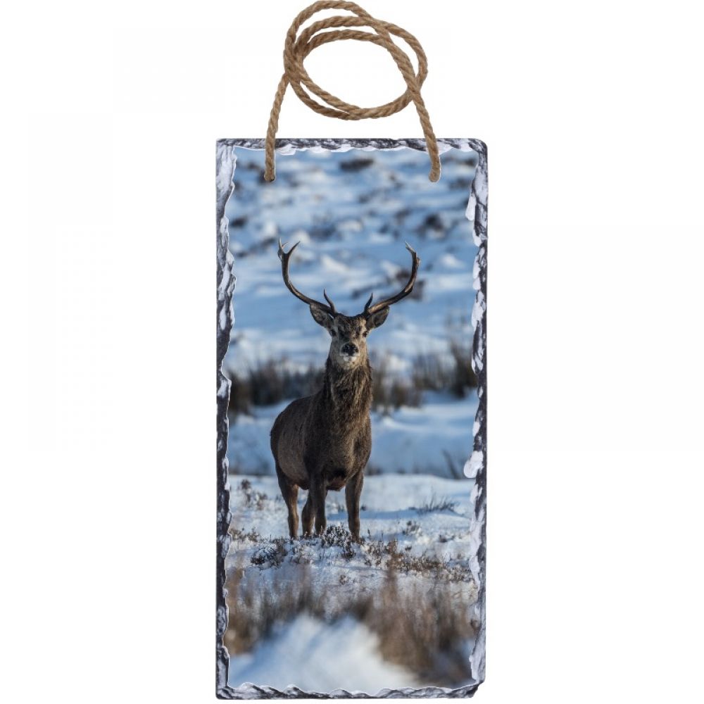 red stag 1 15 x 30 slate.jpg