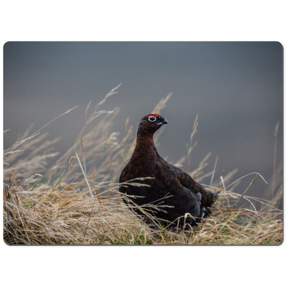 Red grouse 1 chopping board.jpg