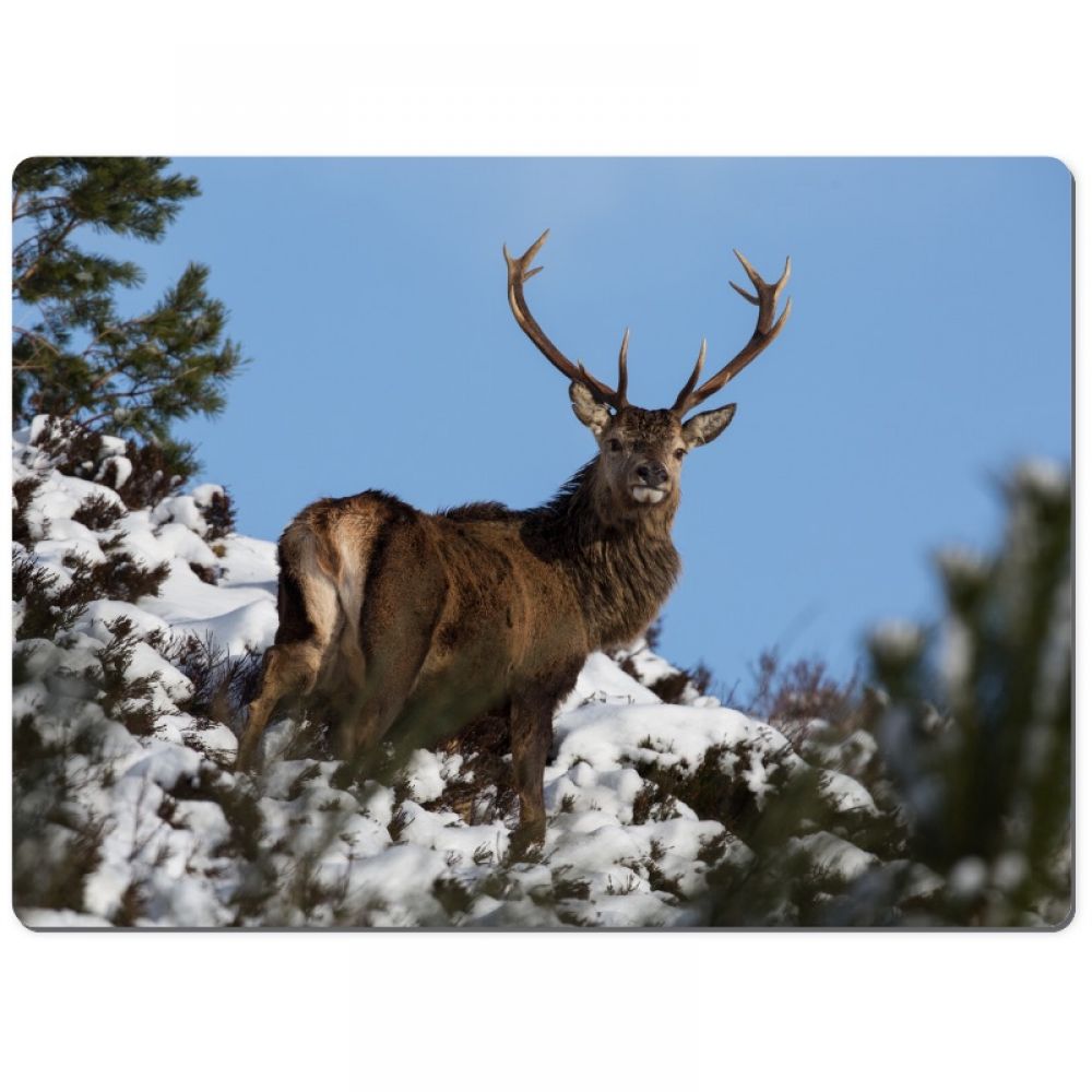 Red stag 3 chopping board.jpg