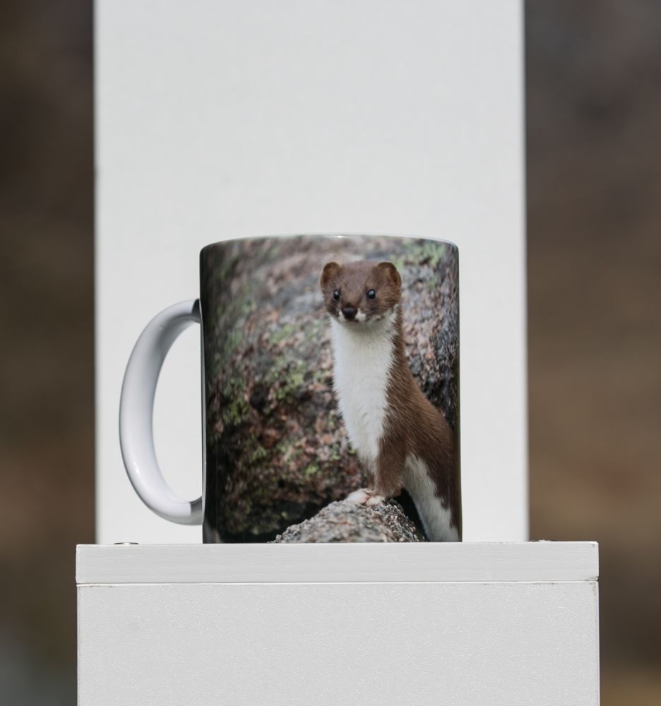 weasel mug.jpg