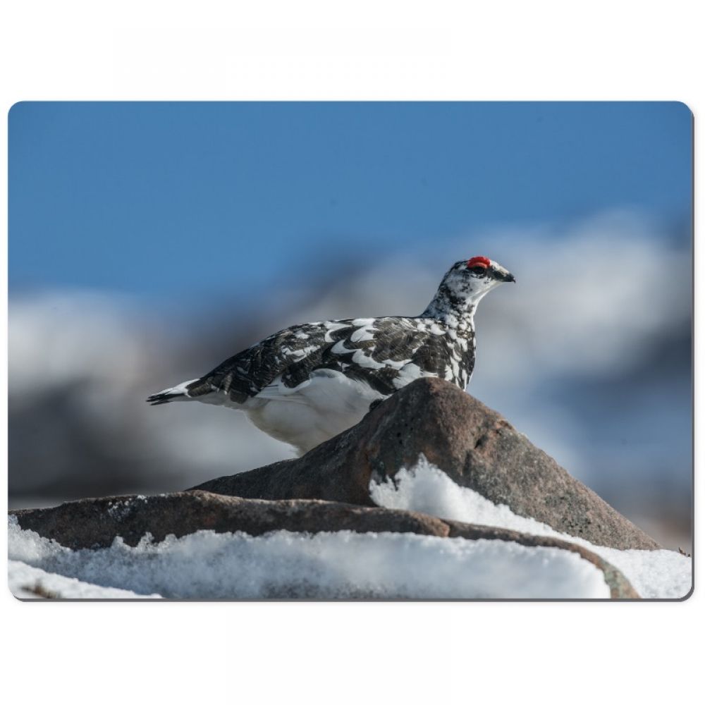 Ptarmigan 4 chopping board.jpg