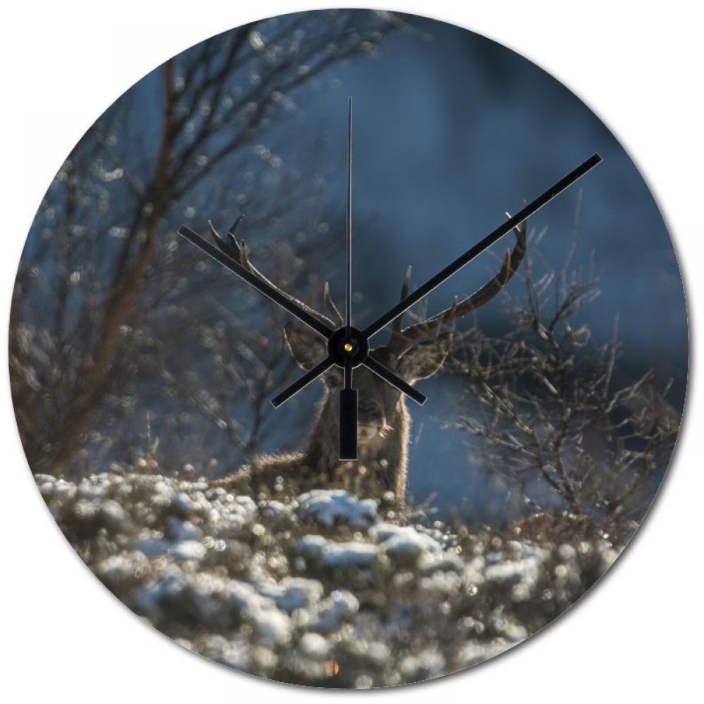 Red stag 12 20cm clock.jpg