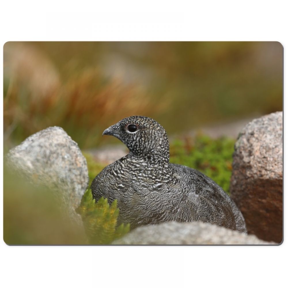 Ptarmigan 5 chopping board.jpg