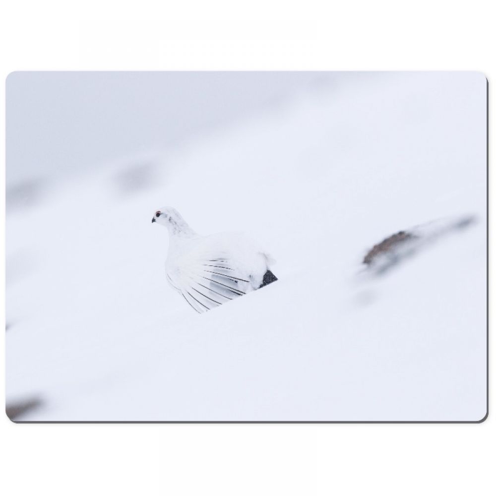 Ptarmigan 2 chopping board.jpg