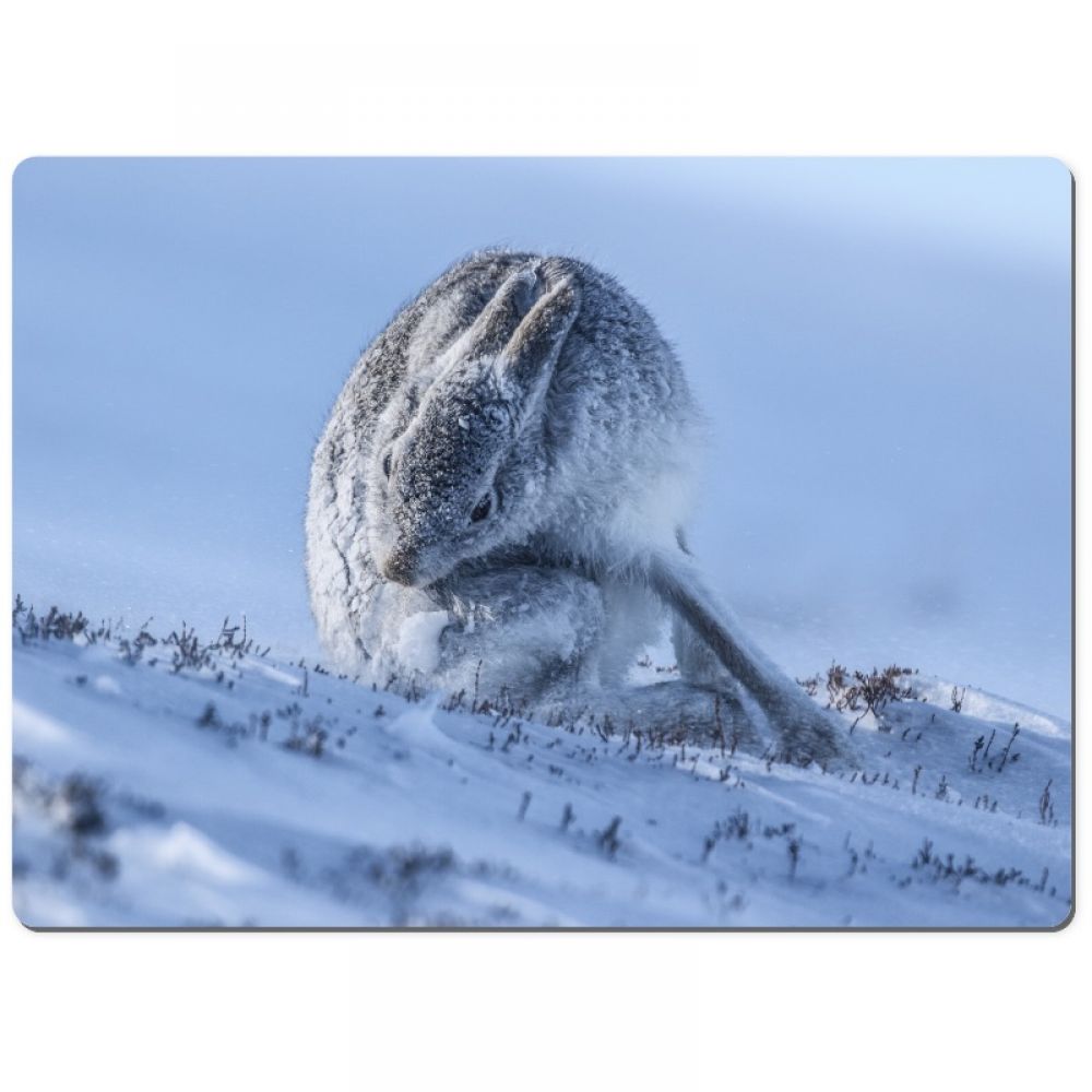 Mountain hare 6 chopping board.jpg