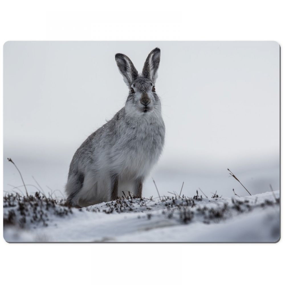 Mountain hare 4 chopping board.jpg