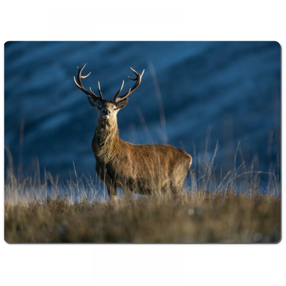 Red stag 10 chopping board-2.jpg