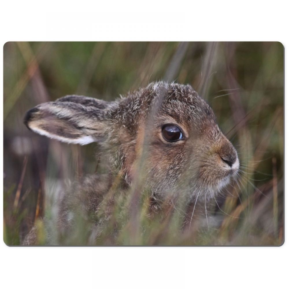 Leveret 2 chopping board.jpg