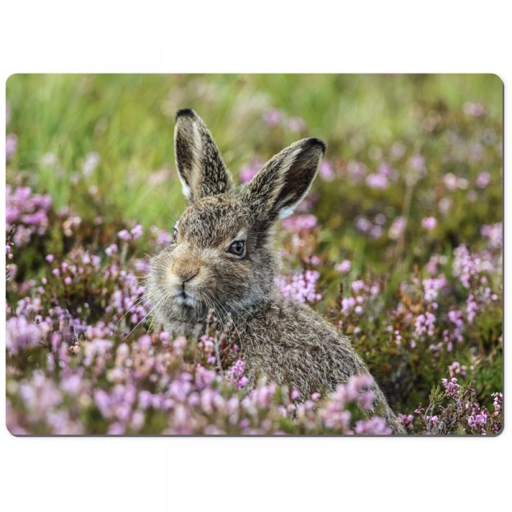 leveret 1 chopping board.jpg