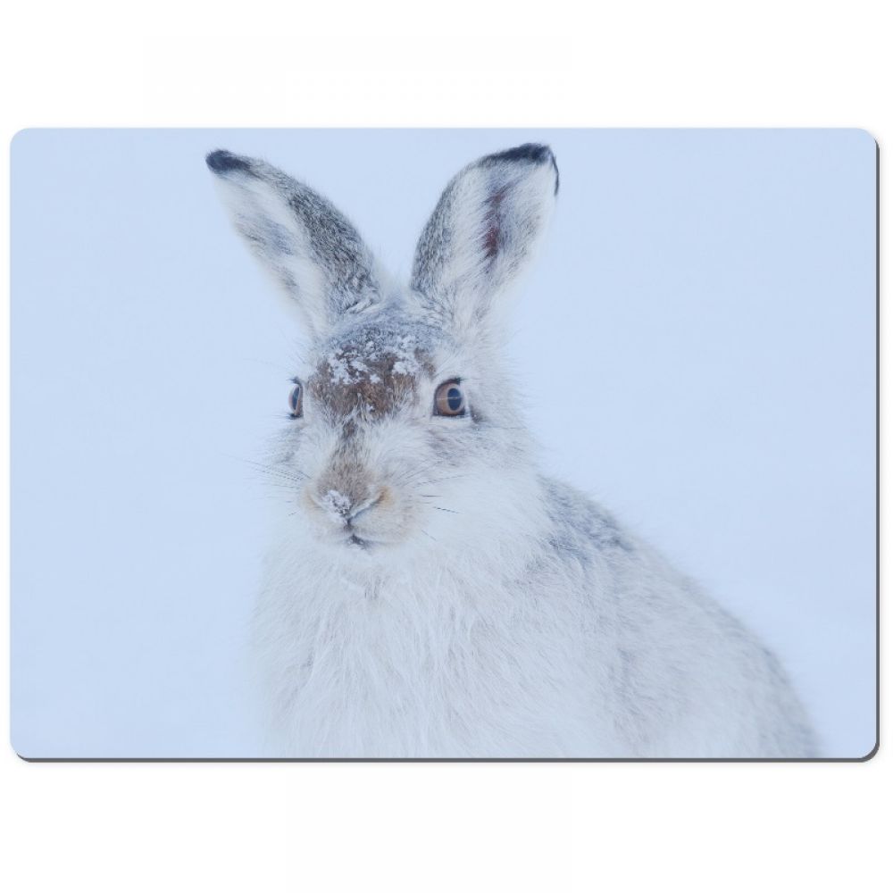 Mountain hare 3 chopping board.jpg