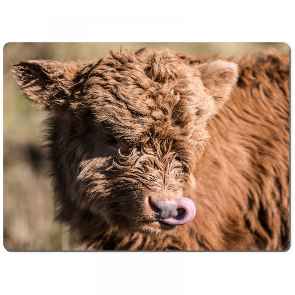 Highland calf 2 chopping board.jpg