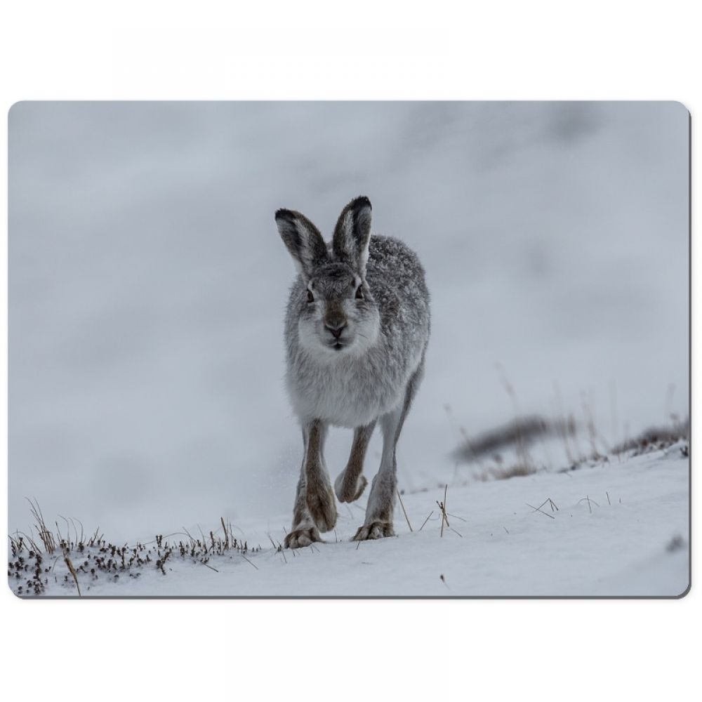 Mountain hare 1 chopping board.jpg