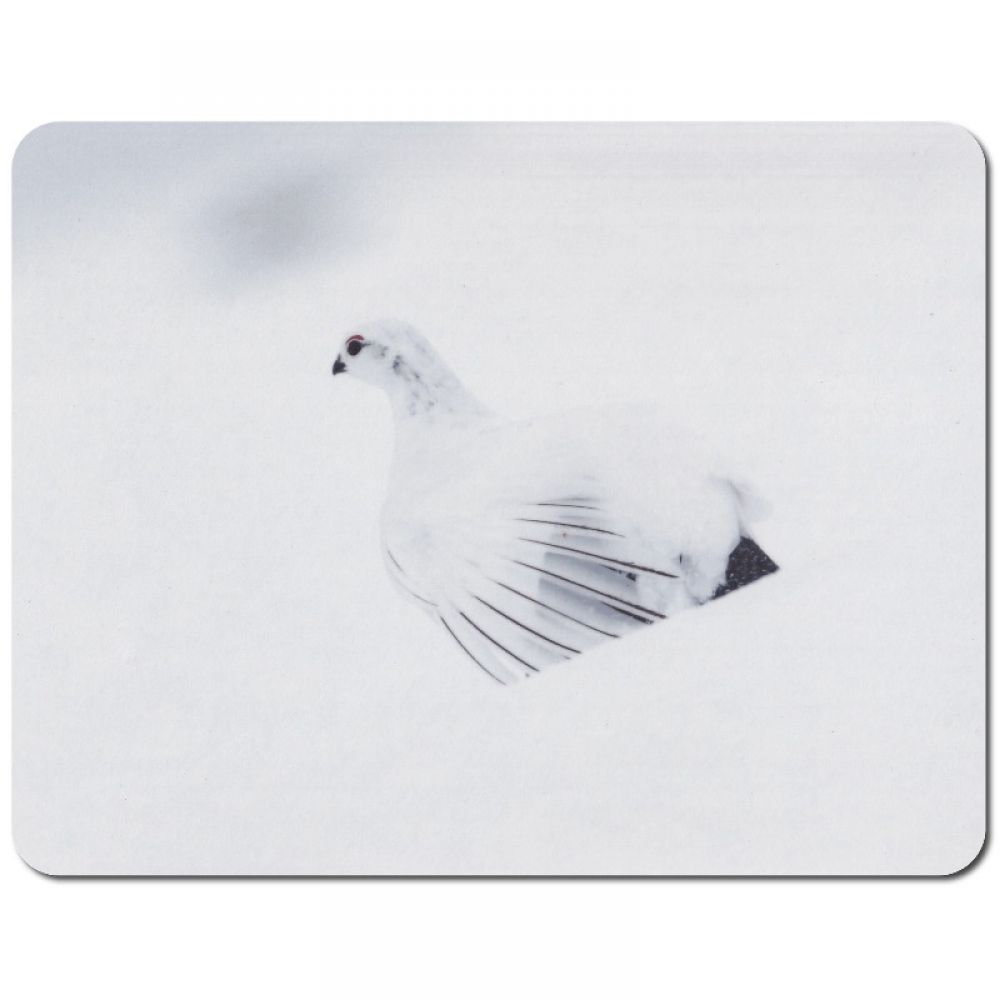 Ptarmigan place mat.jpg