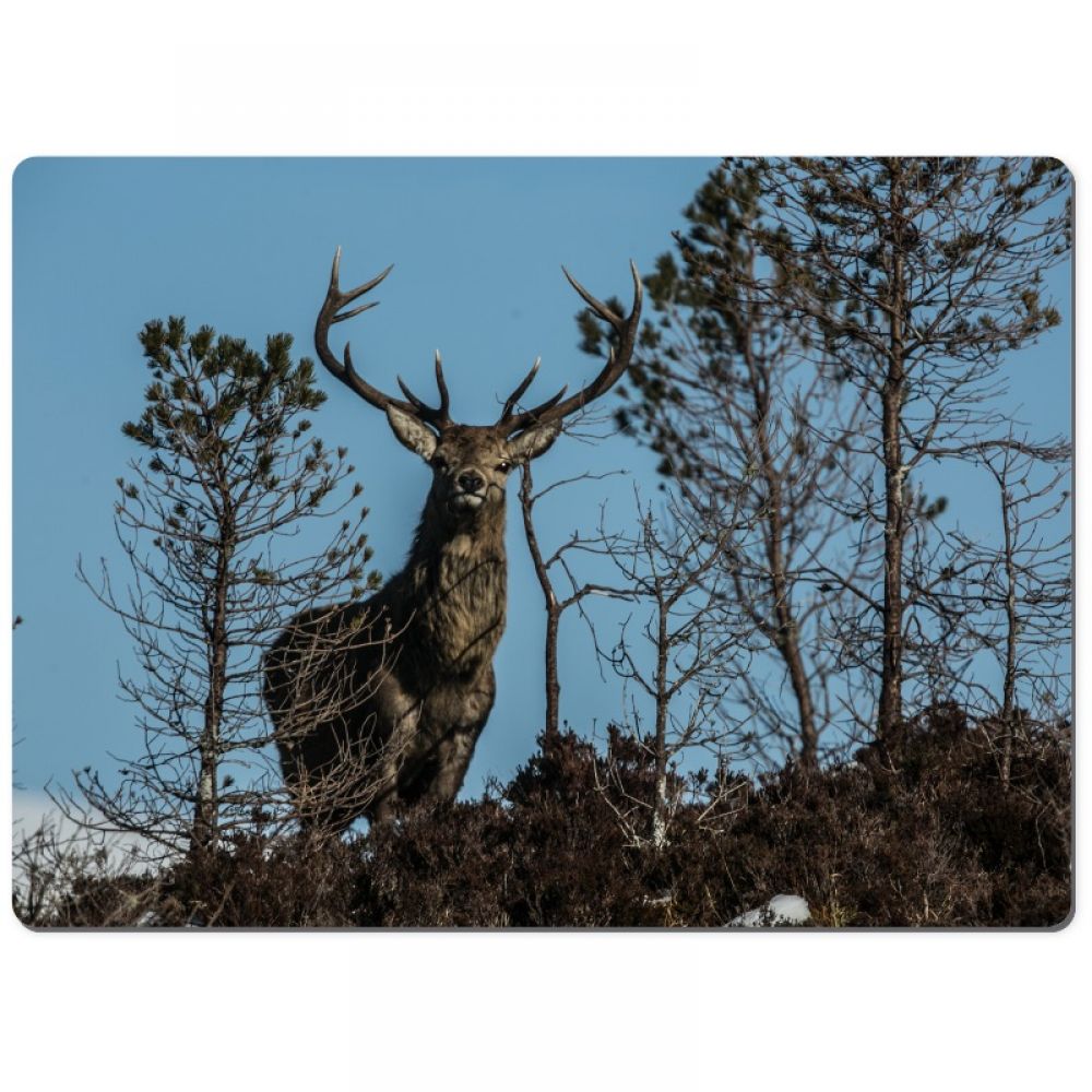 Red stag 33 chopping board.jpg