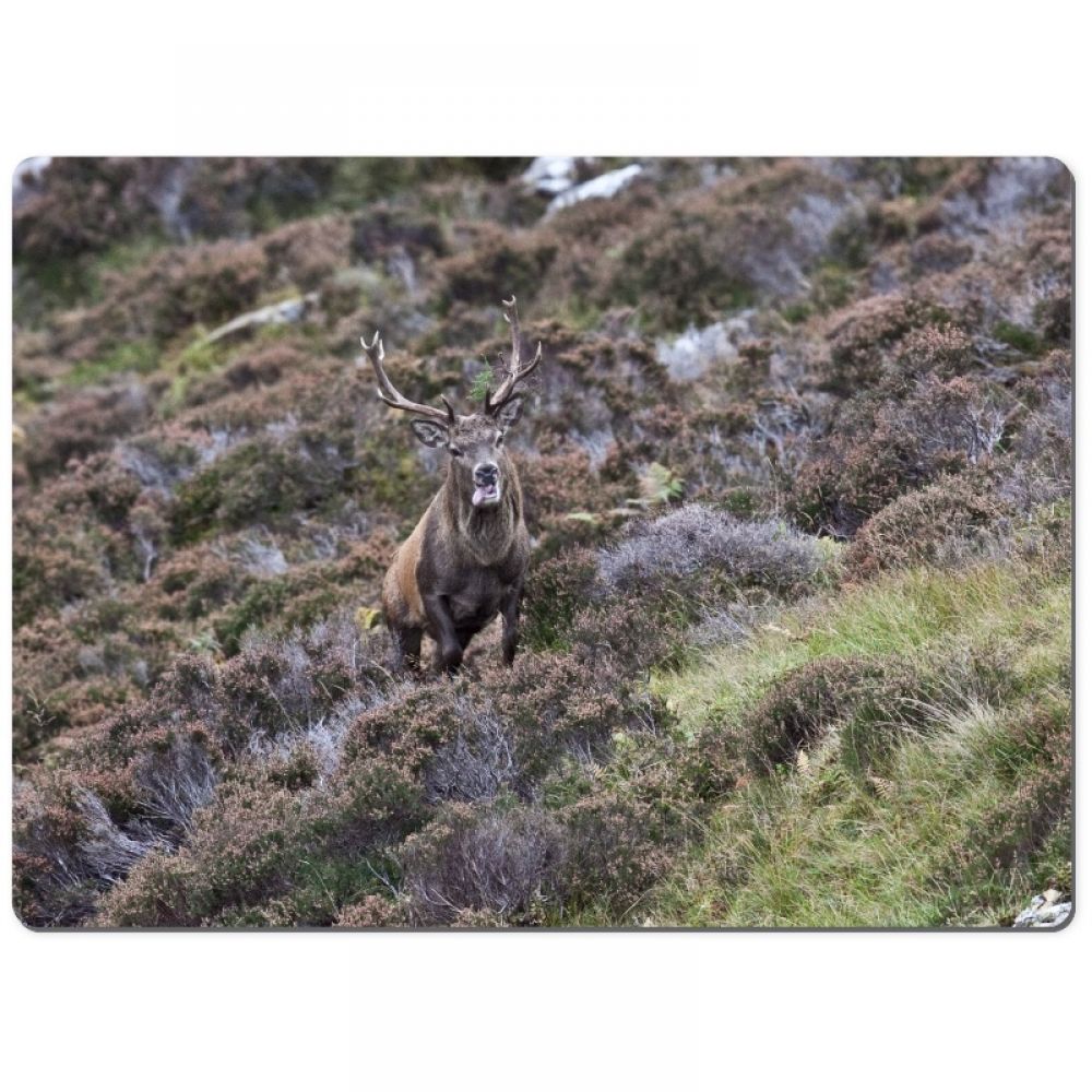 Red stag 9 chopping board.jpg