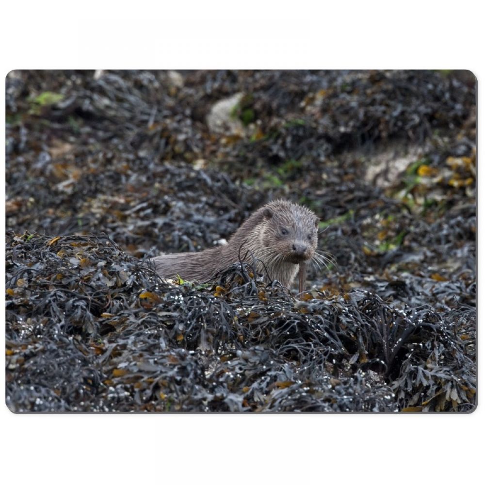 Otter 1 chopping board.jpg