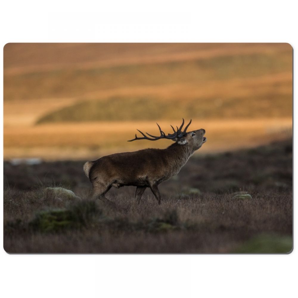 Red stag 5 chopping board.jpg