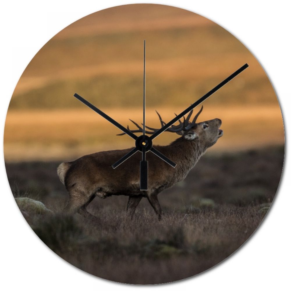 Red stag 5 20cm clock.jpg