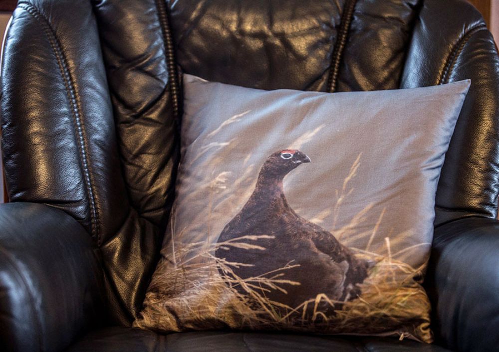 grouse-cushion-cover-large.jpg