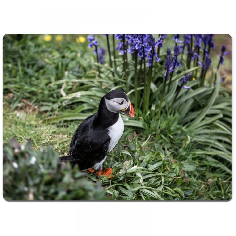 Puffin 2 chopping board.jpg